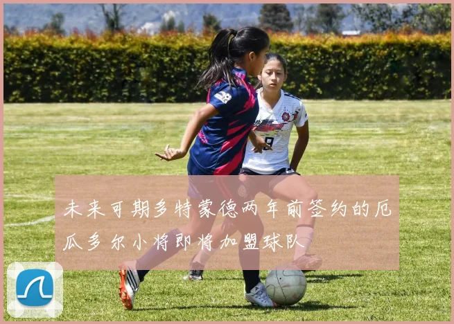 未来可期多特蒙德两年前签约的厄瓜多尔小将即将加盟球队
