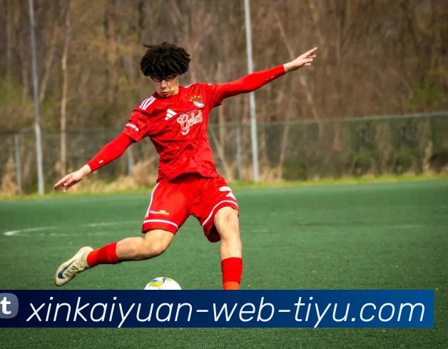 开元体育APP 封面图